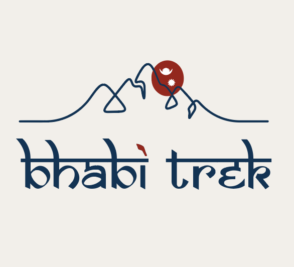 Capture d'écran 2025-11-20 141600